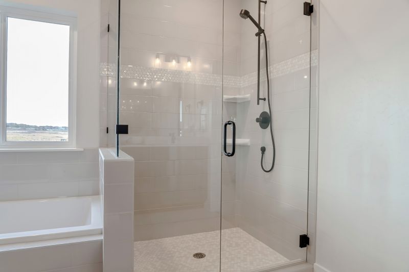 Contemporary Frameless Shower